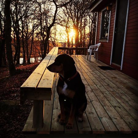 Farm Stay Happy Dogs Ranch Veberöd Dış mekan fotoğraf