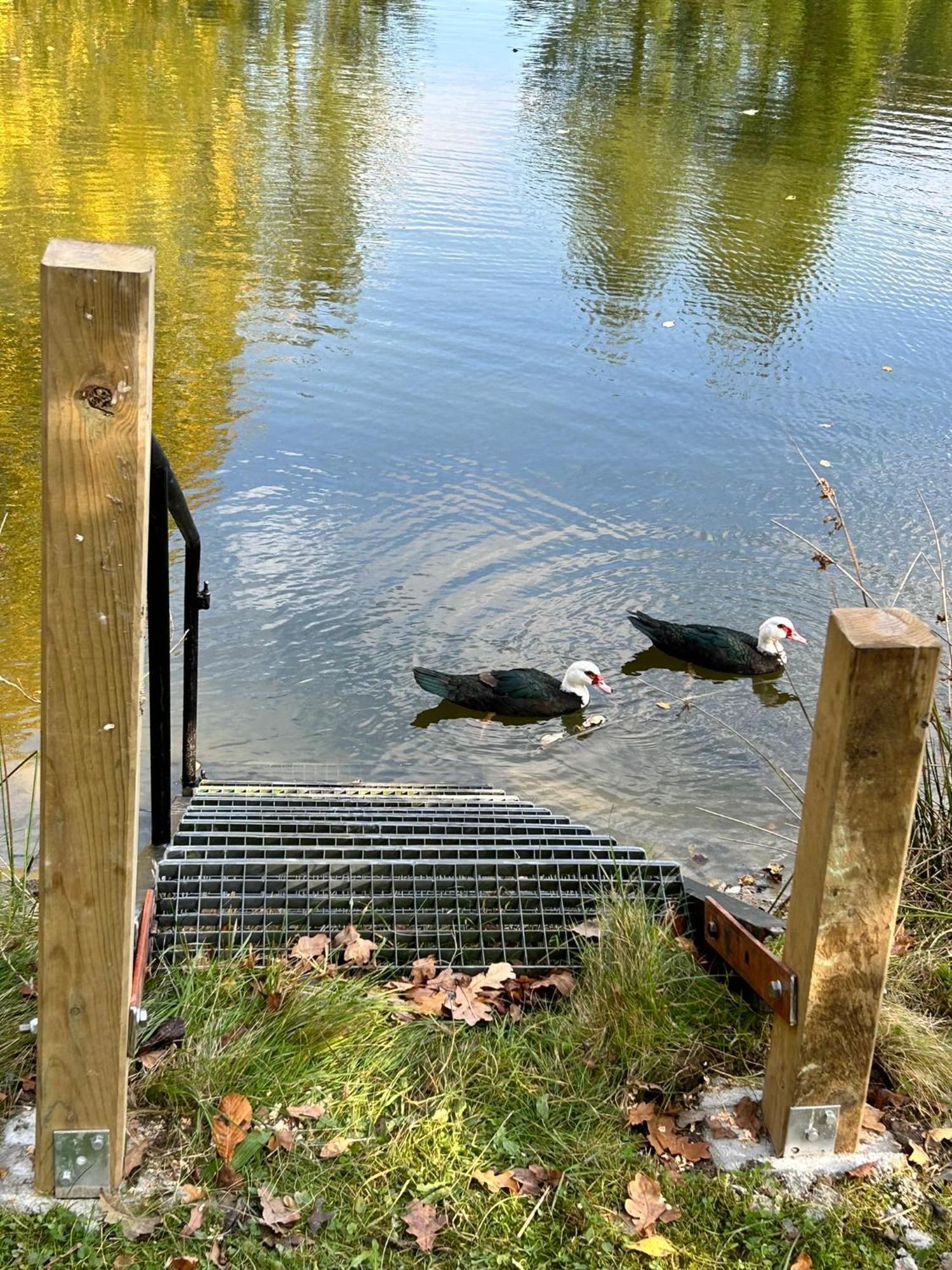Farm Stay Happy Dogs Ranch Veberöd Dış mekan fotoğraf