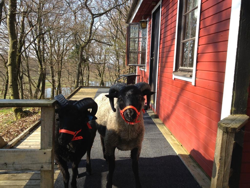 Farm Stay Happy Dogs Ranch Veberöd Dış mekan fotoğraf