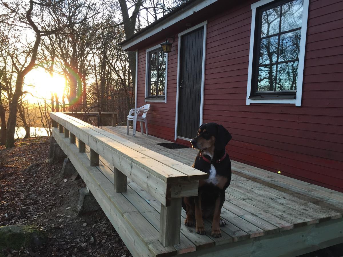 Farm Stay Happy Dogs Ranch Veberöd Dış mekan fotoğraf