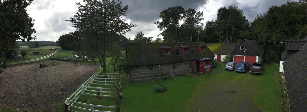 Farm Stay Happy Dogs Ranch Veberöd Dış mekan fotoğraf
